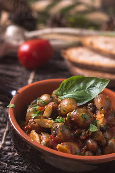 Escargot Cucinato Una Minestra Pomodoro Una Composizione Stile Paese — Foto Stock