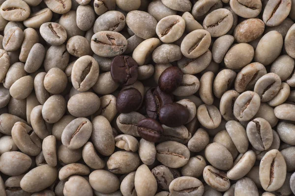Single toasted black coffee bean on white coffee background