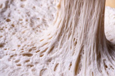 Ekmek hamurunda alveolus gluten net fermantasyonu