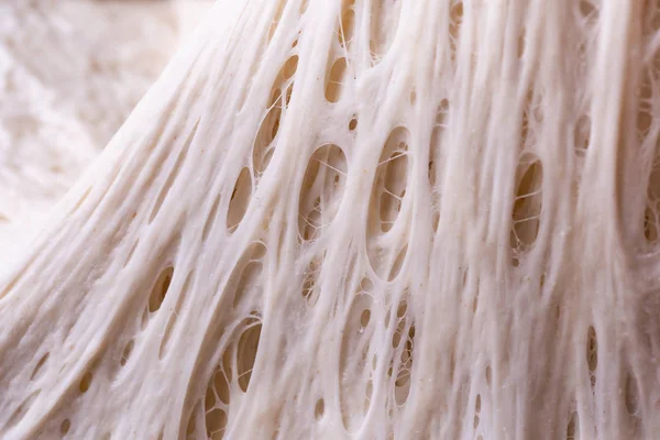 Ekmek hamurunda alveolus gluten net fermantasyonu