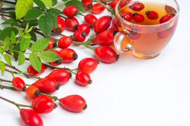 köpek rose hips ve beyaz arka plan üzerinde bitkisel