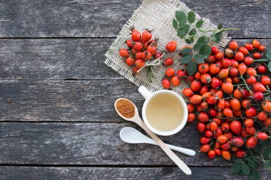 Bitkisel köpek rose çay ile grup şube kuşburnu, Rosa canina kalça, uçucu yağ türleri. Şifalı bitkiler ve otlar kompozisyon 