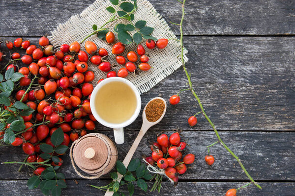 cup of herbal Dog rose tea with bunch branch Rosehips, types Rosa canina hips, essential oil. Medicinal plants and herbs composition 