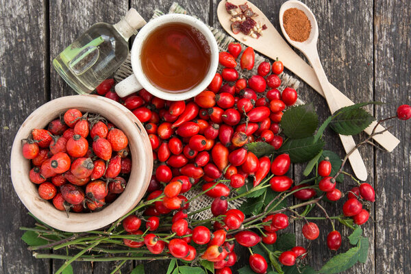 cup of herbal Dog rose tea with bunch branch Rosehips, types Rosa canina hips, essential oil. Medicinal plants and herbs composition 