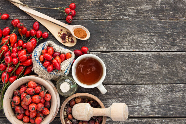 cup of herbal Dog rose tea with bunch branch Rosehips, types Rosa canina hips, essential oil. Medicinal plants and herbs composition 