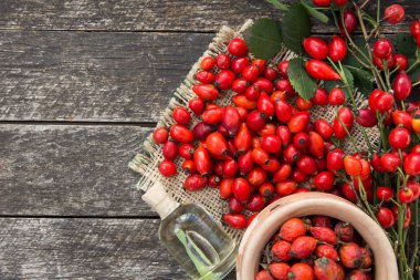Grup şube Kuşburnu, türleri Rosa canina kalça, esans. Şifalı bitkiler ve otlar kompozisyon