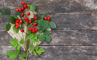 Grup şube kuşburnu, Rose'un köpek türleri Rosa canina kalça. Şifalı bitkiler ve otlar kompozisyon 
