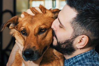 Onun güzel altın kırmızı köpek sarılma yakışıklı bir adam portresi 