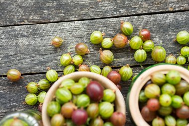 Bir kil kase taze Bektaşi