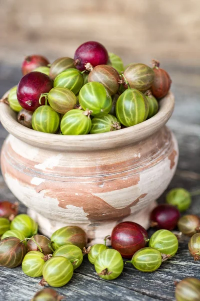 Fresh Gooseberries Clay Bowl — Stock Photo, Image