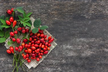 Grup şube kuşburnu, Rose'un köpek türleri Rosa canina kalça. Şifalı bitkiler ve otlar kompozisyon 