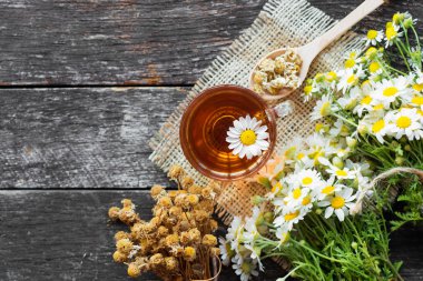 ahşap arka plan üzerinde taze papatya çiçekler ile bitkisel papatya çayı fincan. Doktor tedavi ve Önleme kavramının bağışıklık, tıp - halk, alternatif, tamamlayıcı, geleneksel tıp