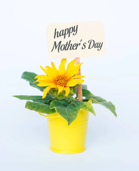 Zarte Gelbe Sonnenblumen Karte Mit Text Glücklichen Muttertag — Stockfoto