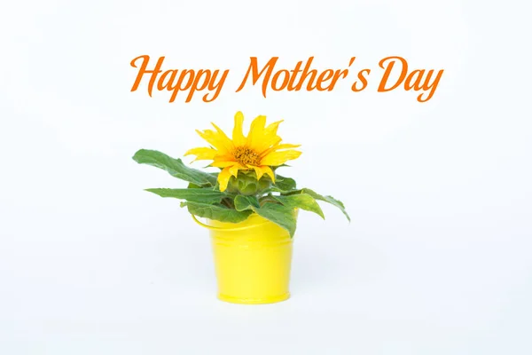 Delicate Yellow Sun Flowers Card Text Happy Mother Day — Stock Photo, Image