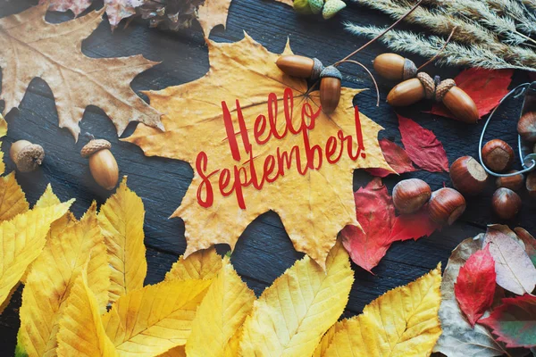 Hola Tarjeta Septiembre Composición Otoño Hoja —  Fotos de Stock