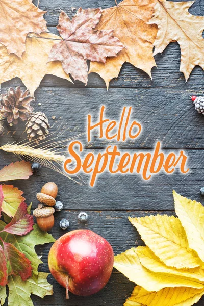 Hello September Card Autumn Composition Leaf — Stock Photo, Image