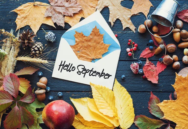 Hello September Kort Höst Komposition Från Leaf — Stockfoto