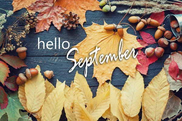 Hello September Toned Card Autumn Composition — Stock Photo, Image