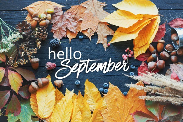 Hola Tarjeta Tonificada Septiembre Composición Otoño —  Fotos de Stock