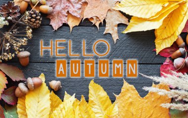 sonbahar dekor merhaba sonbahar vintage tarzı kart çerçevesi