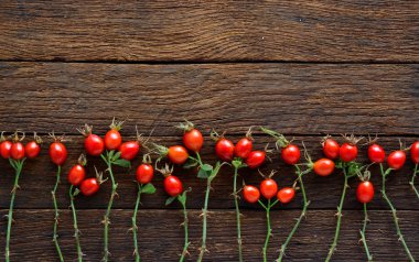 Şifalı bitkiler ve otlar kompozisyon: köpek rose, grup şube kuşburnu, Rosa canina kalça, uçucu yağ türleri. Grup, Kuşburnu çayı