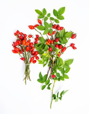 Köpek gülü, bir demet Rosehips, Rosa canina kalçası ve bitkisel çay - şifalı bitkiler bileşimi