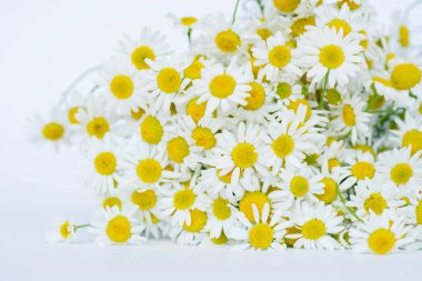 Bir fincan bitkisel papatya çayı ve papatya çiçeği doktor tedavisi ve bağışıklık konsepti, ilaç - halk, alternatif, tamamlayıcı, geleneksel tıp