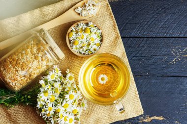 Bir fincan bitkisel papatya çayı ve papatya çiçeği doktor tedavisi ve bağışıklık konsepti, ilaç - halk, alternatif, tamamlayıcı, geleneksel tıp