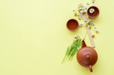 Bir fincan bitkisel papatya çayı ve papatya çiçeği doktor tedavisi ve bağışıklık konsepti, ilaç - halk, alternatif, tamamlayıcı, geleneksel tıp