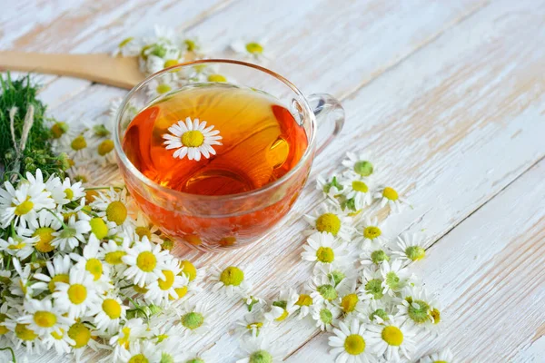 Tasse Pflanzlicher Kamillentee Und Gänseblümchenblümchen Arzt Behandlung Und Prävention Des — Stockfoto