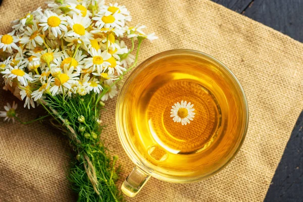 Bir fincan bitkisel papatya çayı ve papatya çiçeği doktor tedavisi ve bağışıklık konsepti, ilaç - halk, alternatif, tamamlayıcı, geleneksel tıp