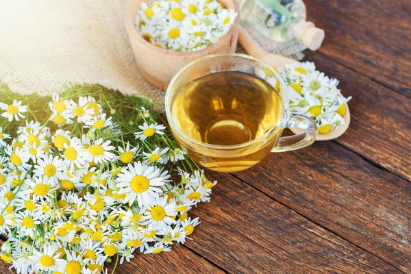 Tasse Pflanzlicher Kamillentee Und Gänseblümchenblümchen Arzt Behandlung Und Prävention Des — Stockfoto