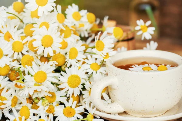 Tasse Pflanzlicher Kamillentee Und Margeritenblüten Auf Weißem Hintergrund Arzt Behandlung — Stockfoto