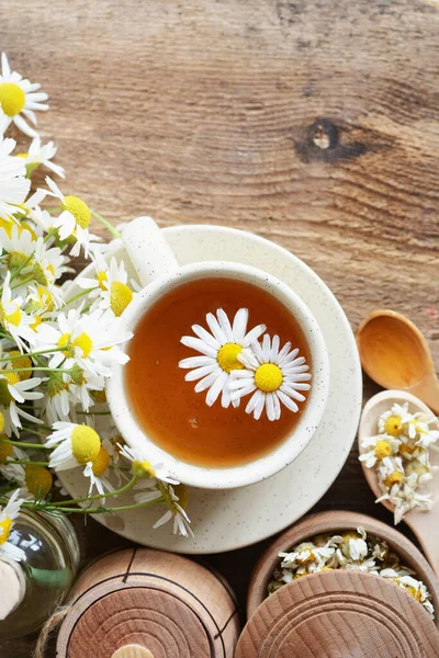 Beyaz arka plan doktoru tedavisi ve bağışıklık konsepti, ilaç - halk, alternatif, tamamlayıcı, geleneksel tıp üzerine bir fincan papatya çayı ve papatya çiçeği.