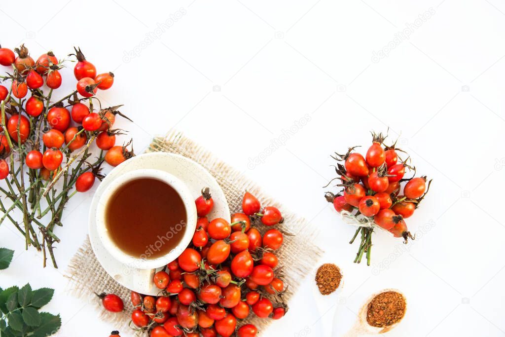 Dog rose, bunch branch Rosehips, types Rosa canina hips and herbal tea - Medicinal plants herbs composition