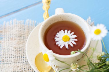 Beyaz arka plan doktoru tedavisi ve bağışıklık konsepti, ilaç - halk, alternatif, tamamlayıcı, geleneksel tıp üzerine bir fincan papatya çayı ve papatya çiçeği.