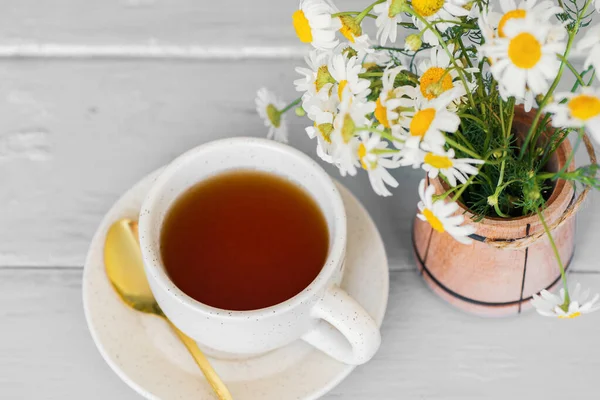 Beyaz arka plan doktoru tedavisi ve bağışıklık konsepti, ilaç - halk, alternatif, tamamlayıcı, geleneksel tıp üzerine bir fincan papatya çayı ve papatya çiçeği.