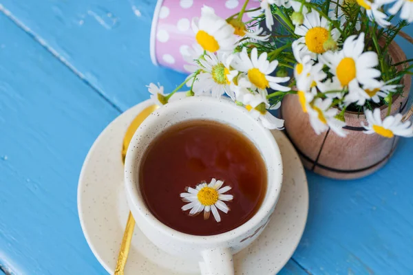 Tasse Pflanzlicher Kamillentee Und Margeritenblüten Auf Weißem Hintergrund Arzt Behandlung — Stockfoto