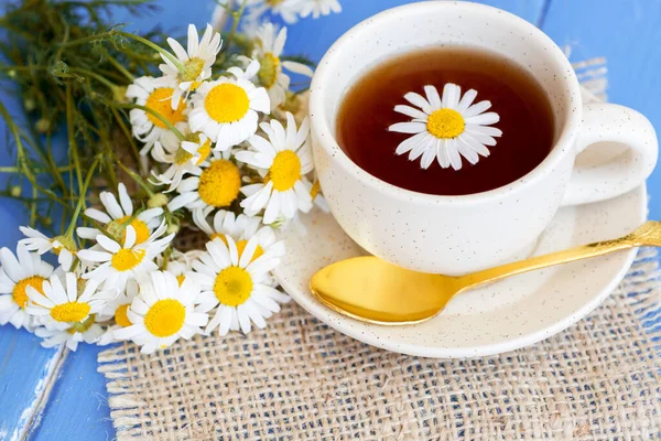 Filiżanka Ziołowej Herbaty Rumianku Stokrotki Kwiaty Białym Tle Lekarza Leczenie — Zdjęcie stockowe
