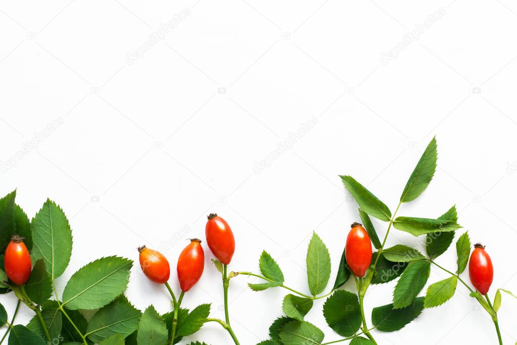 rose hips, sea buckthorn and goji berries. viburnum branch Medicinal plants and herbs composition