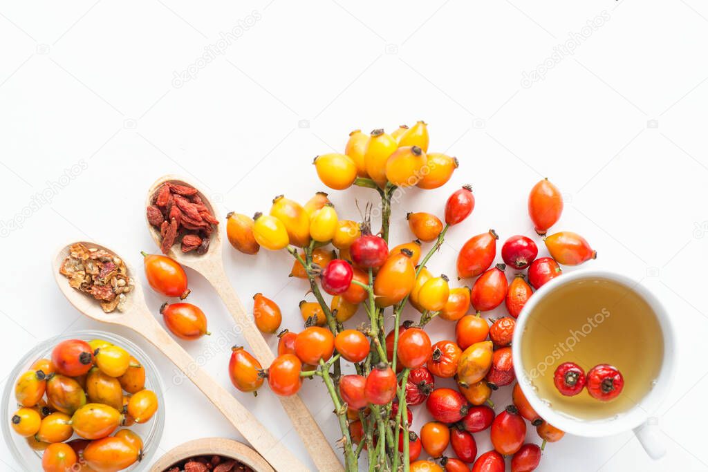 rose hips, sea buckthorn and goji berries. viburnum branch Medicinal plants and herbs composition
