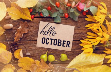 Hello october frame of autumn decor Poster card with sunlight filter and toned grunge image clipart