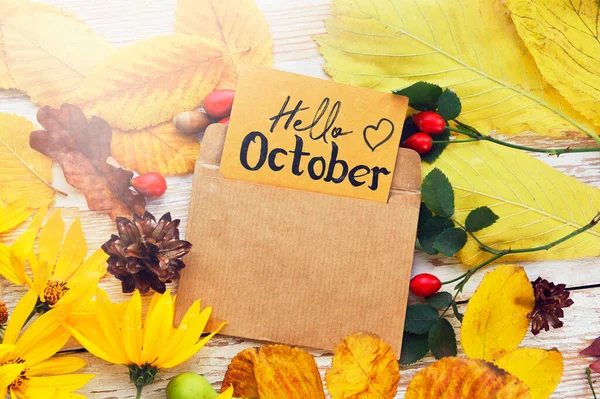 Hello October Frame Autumn Decor Poster Card Sunlight Filter Toned — 스톡 사진