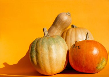 Farklı şekillerde ve renklerde taze balkabakları geleneksel bayramın kutlu olsun ya da Cadılar Bayramı konsepti turuncu sert ışıkta