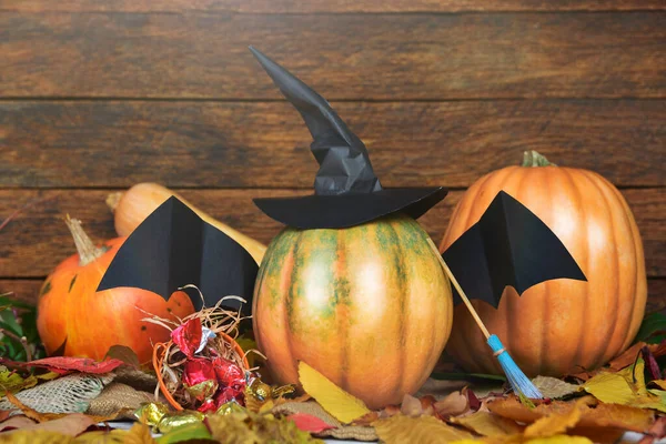 Friss Halloween Tök Tök Squash Boszorkány Kalap Denevér Szárny Halloween — Stock Fotó