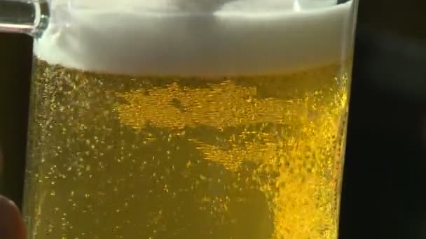 Bar Goot Bier Een Glas — Stockvideo