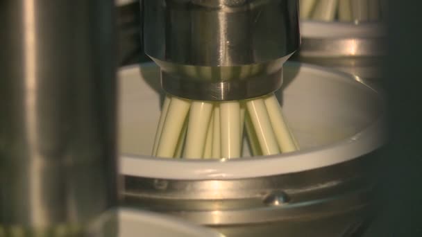 Fabrikadaki Ekşi Krema Üretim Hattı — Stok video