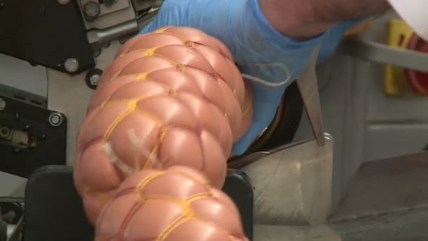 Produkcja Kiełbasy Mięso Tłuszcz Mielone Specjalnej Maszynie Wynikający Tego Farsz — Wideo stockowe