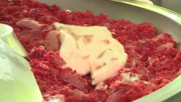 Produkcja Kiełbasy Mięso Tłuszcz Mielone Specjalnej Maszynie Wynikający Tego Farsz — Wideo stockowe
