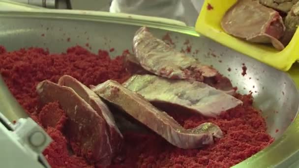 Production Saucisses Viande Graisse Sont Moulues Dans Une Machine Spéciale — Video